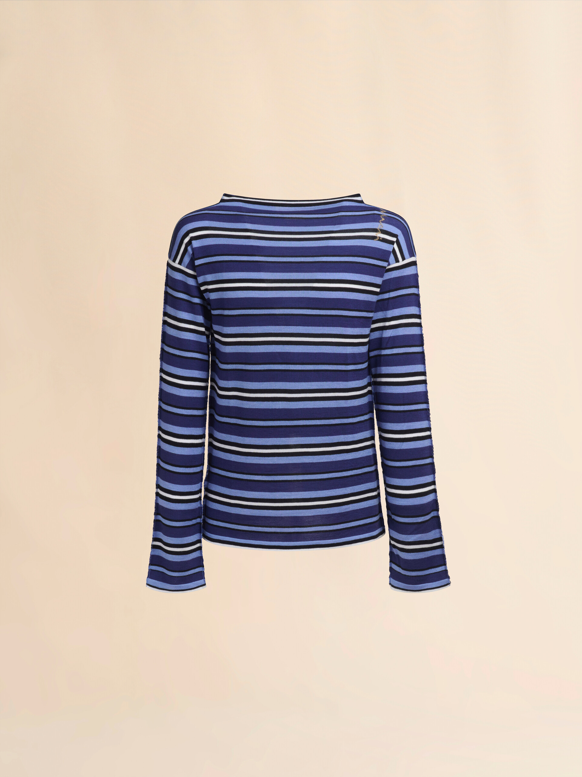 Maglione a righe blu con retro a contrasto - Pullover - Image 1