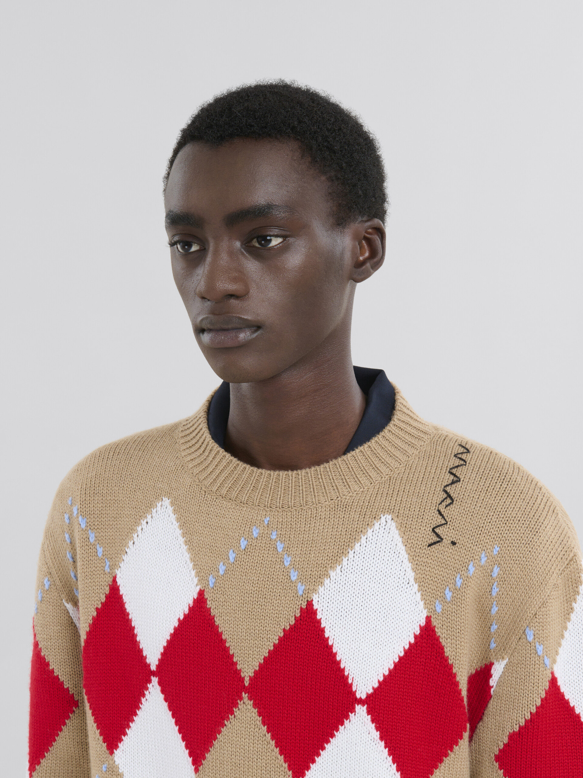 Maglione girocollo in lana beige con motivo Argyle - Pullover - Image 4